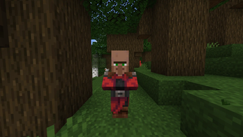 Dark Oak Villager