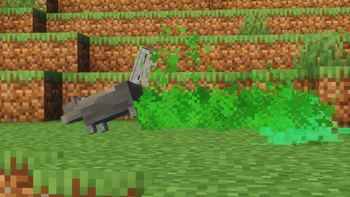 Attacking skunk