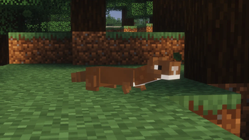 Stoat
