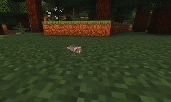 Mouse