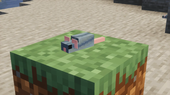 mouse