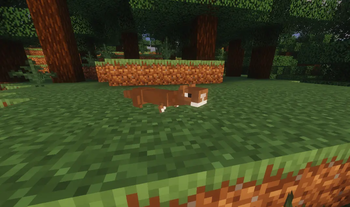 Stoat