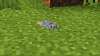 Mouse