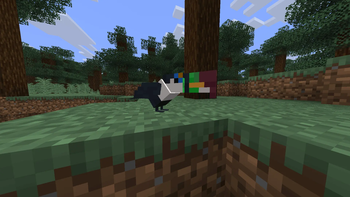 white toucan