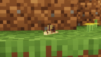 Snail