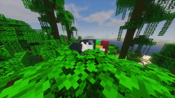 White Toucan