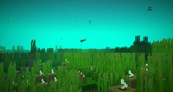 Seagrass Meadow and Herring