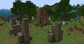 Ant Gardens and Ants