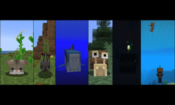 First Update Mobs