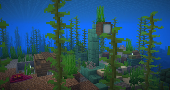 Octopolis and Octopus