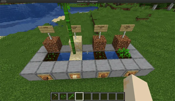 Growth speed comparison