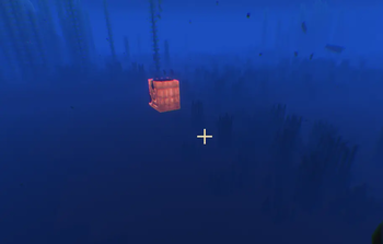 Nautilus Armour
