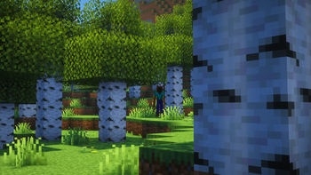 The Hollow Behind the Birch Trees