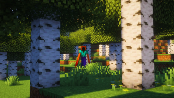 The Hollow Watching from the Birch Forest