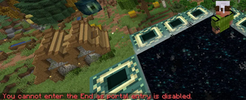 Disabled End portal entry message