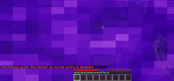 Disabled nether portal entry