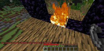 Disabled nether portal creaation