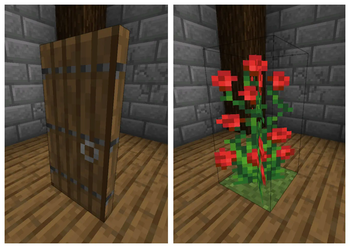 Door and Rose Bush