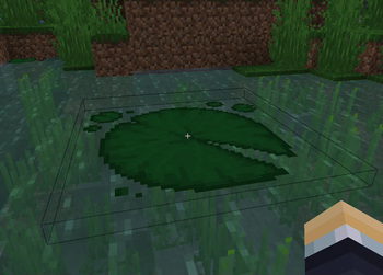 Giant Lily Pad