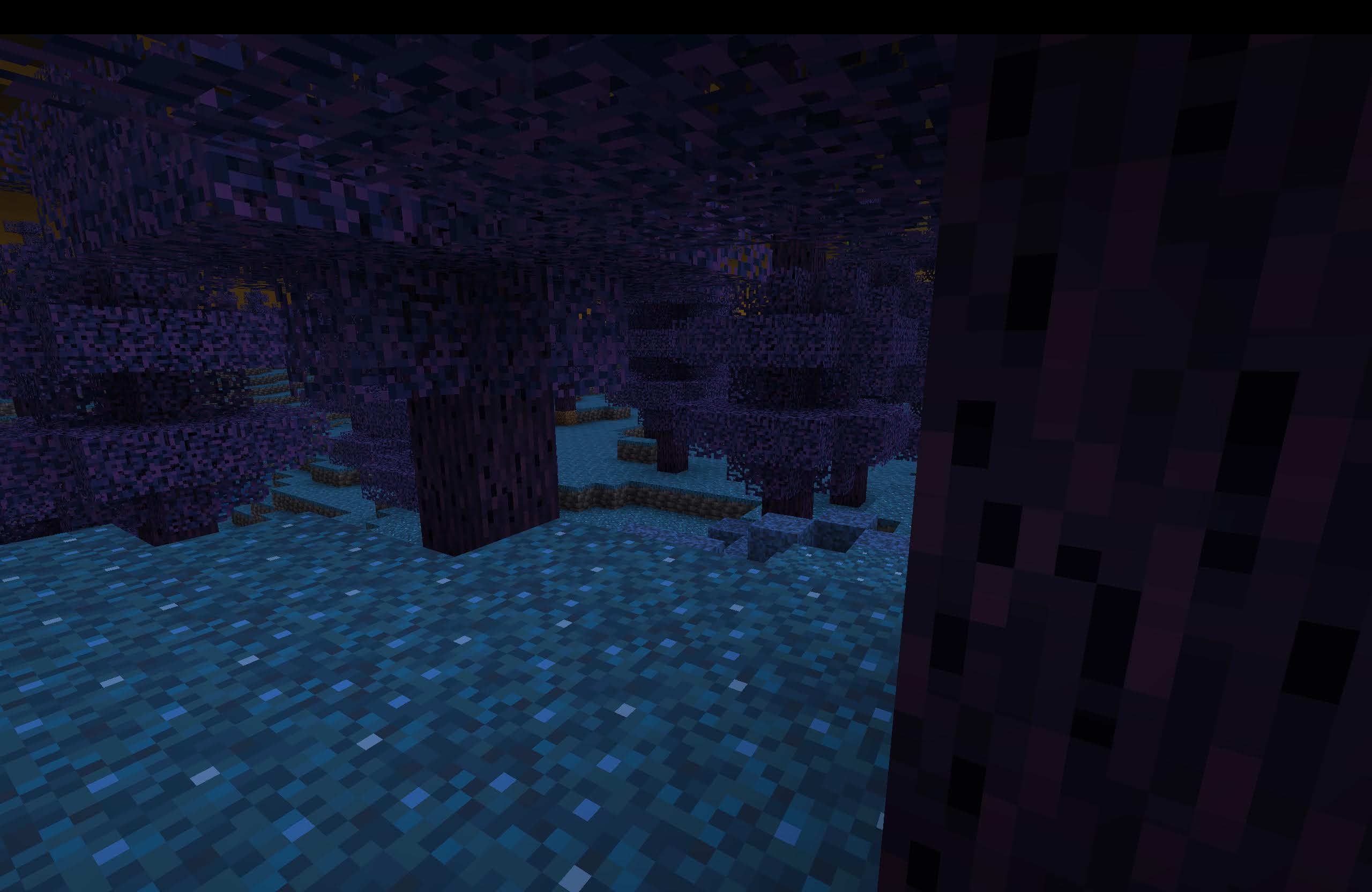 Image of the Deep Forest