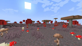 Mushroom Fields