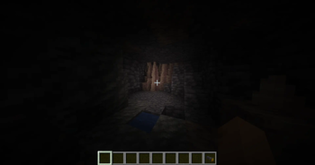 Flashlight / Headlamp