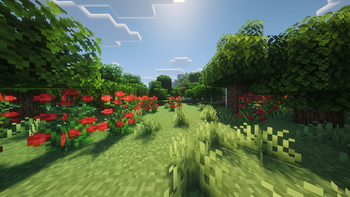 Complemantary Reimagined Shaders
