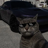 iKian_3437