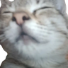 Cat Totem