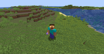 Amethyst Goggles
