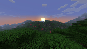 The most Beautiful Sunset i ever seen