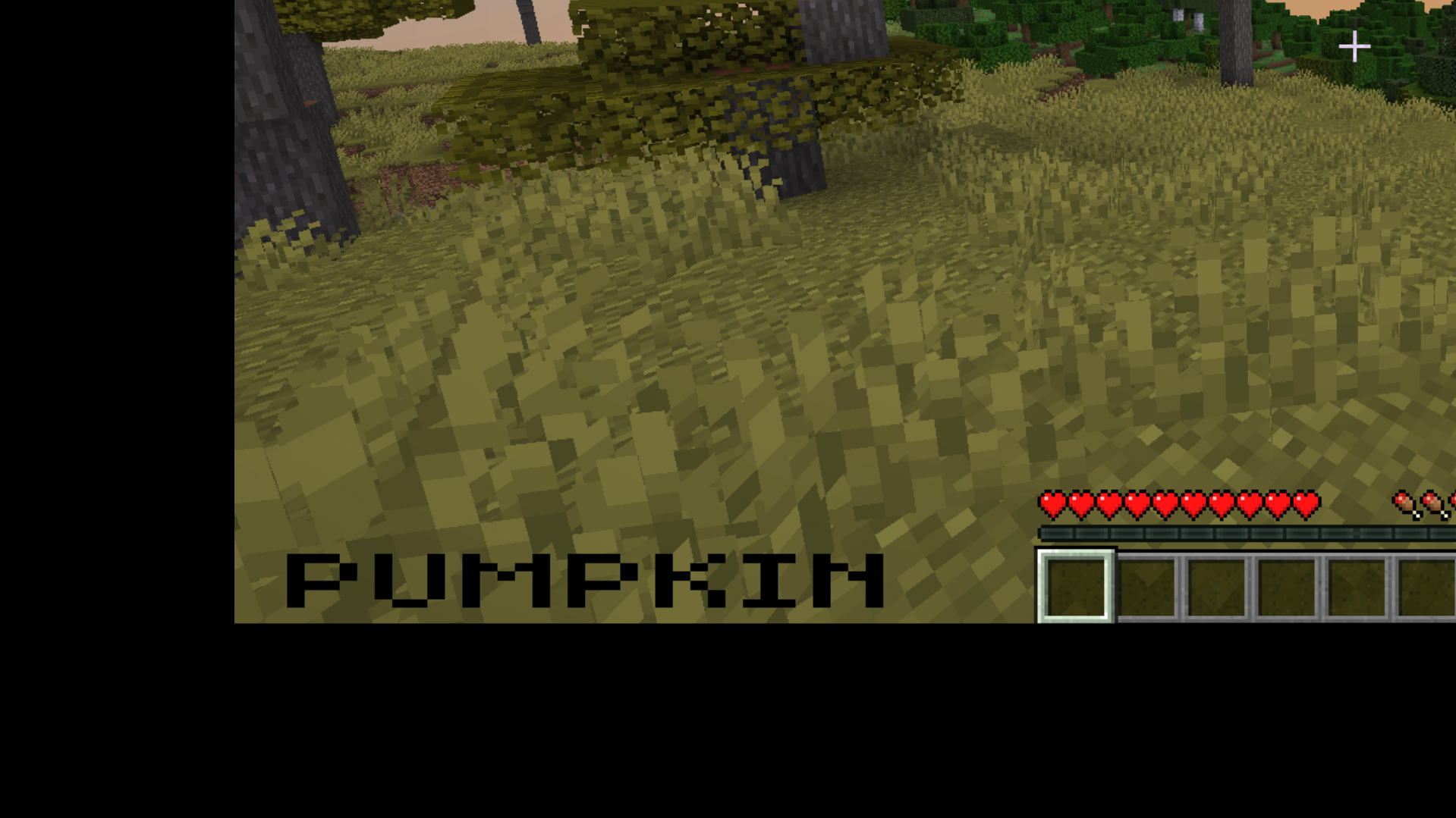 An image of the gui this texture pack creates when wearing a carved pumpkin