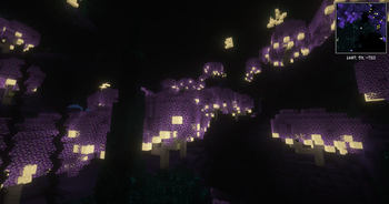 New Sculk Dimension