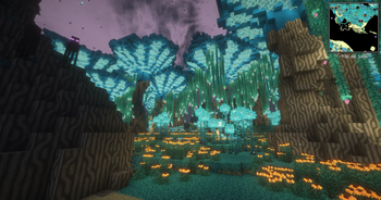 End Biomes