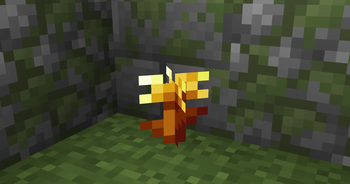 Golden Dandelion