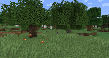 Trees