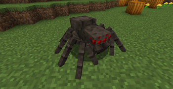 Fresh Normal Spider