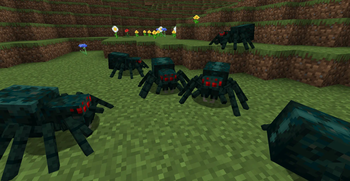 Fresh Cave Spiders