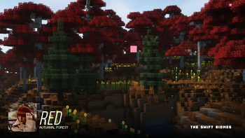 RED Autumnal Forest