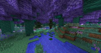 Enchanted Ash Forest