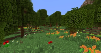 Chestnut Forest