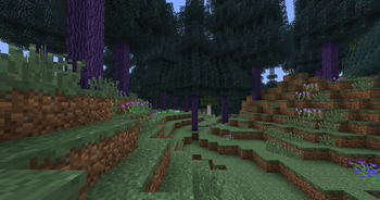 Violet Forest