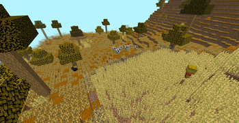 The harvest plains