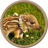 Modrinth profile picture for @IRS
