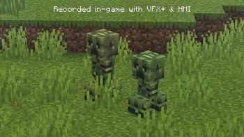 Baby Creeper & Nametag "shorty"