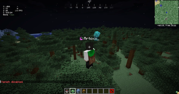 Staff Mode Vanish