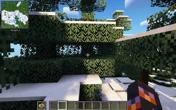 First person view