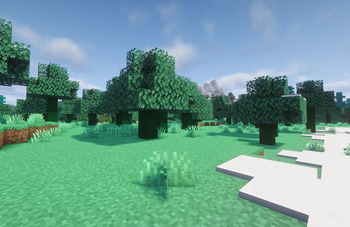 Emerald oak forest