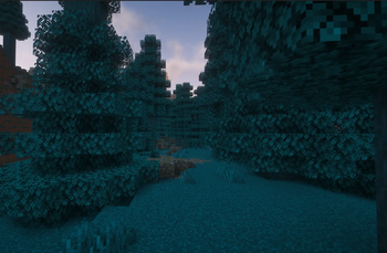 Cyan pine forest