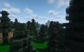 Wister forest